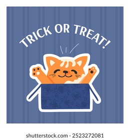 Cute funny cat in a box vector illustration. Trick or treat text with cute creepy mascot character card. Poster for Halloween party.