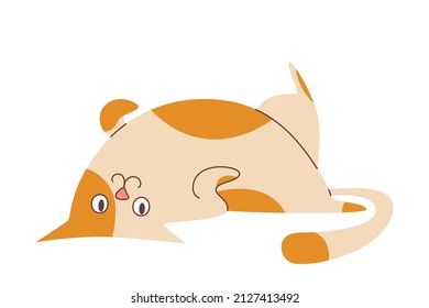 Cute funny cat character, cartoon style, vector illustration