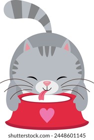 Cute funny cat drinking milk