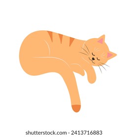 Cute funny cat. Fat pet animal. Cartoon character. Flat vector illustration.