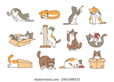 Cute and funny cat set with different poses and behavior isolated on white background. Playing, sleeping, stretching and hiding in box