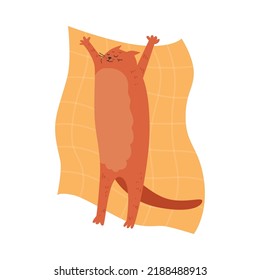 Cute and funny cat sleeping on his back on bedding, cartoon flat vector illustration isolated on white background. Relaxed pet sleeps in funny pose. Cute and fluffy kitty animal.