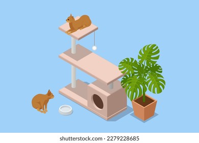 Cute funny cat and tree in room. House cat or Cat tree on white background. Cat Tower with Scratching Posts