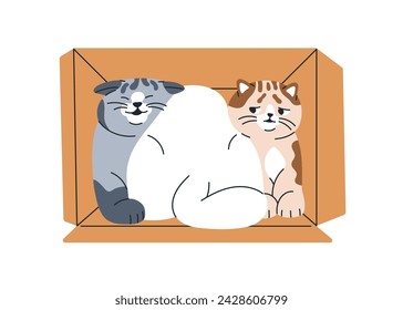 Cute funny cats in box. Amusing adorable kitties pets group, friends inside tight cardboard. Feline animals in carton package together. Flat graphic vector illustration isolated on white background