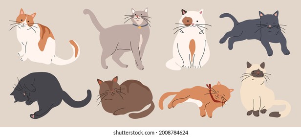 Cute and funny cats doodle vector set. Cartoon cat or kitten characters design collection with flat color in different poses. Set of purebred pet animals isolated on white background.