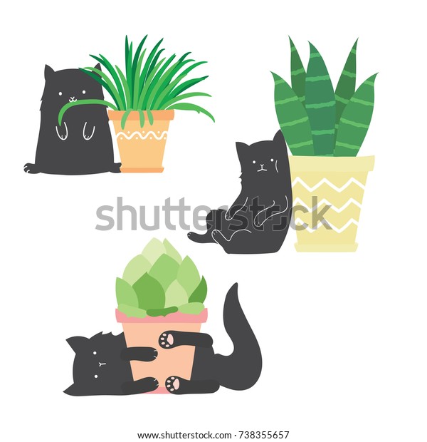 可愛い可笑しい猫がホームフラワーで遊んでいる 異なるポーズをした黒猫と花のポット ベクターイラスト のベクター画像素材 ロイヤリティフリー