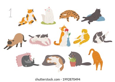 Cute and funny cats of various breeds. hand drawn style vector design illustrations. 