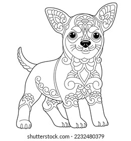 Cute funny chihuahua dog. Adult coloring book page in mandala style