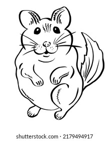Cute funny chinchilla for stickers. Hand drawn rodent: mouse, hamster or chinchilla. Vector, Illustration.