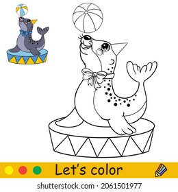 Cute funny circus navy seal throws the ball. Coloring book page with colorful template for kids. Vector cartoon illustration. For coloring, print, game, education, party, design,decor