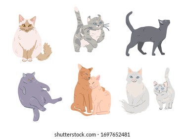 Cute and funny collection of different cat breeds. Vector illustrations of lovely fluffy pets