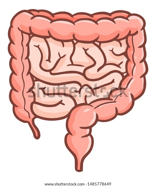 Cute and\
funny colon or intestine in cartoon\
style