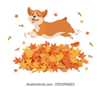 Cute lustige Korgi Hund in einem Sprung über einen Haufen Herbstblätter. Kindergrafik, Druck, Vektorgrafik	
