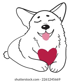Cute, funny Corgi with heart. Vector illustration