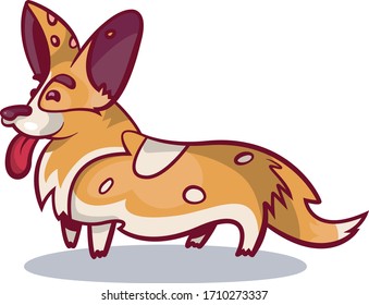 Cute funny corgi named Vector 