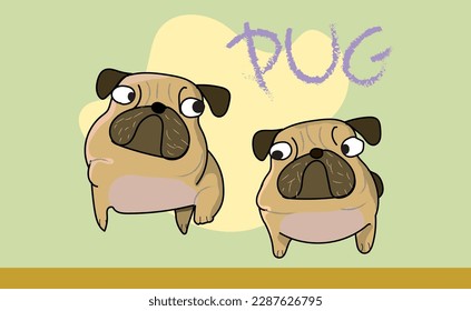 cute funny crazy pug dog