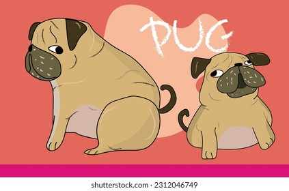 cute funny crazy pug dog
