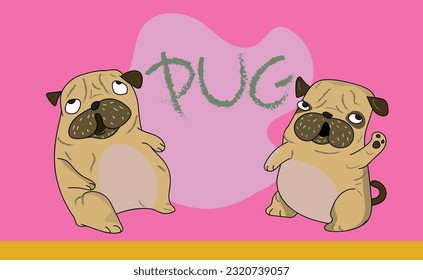 cute funny crazy pug dog