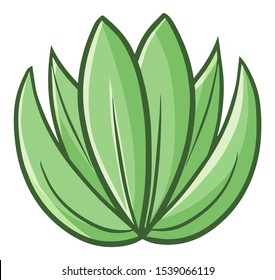 Cute and funny curve sharp leaves