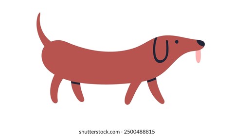 Cute funny Dachshund breed. Adorable wiener sausage dog walking. Long doggy strolling. Lovely kawaii puppy, canine animal, tongue out, profile. Flat vector illustration isolated on white background