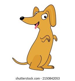 Cute funny dachshund dog smiling. Funny character animal children's illustration isolated on white background.