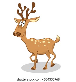 Cute funny deer
