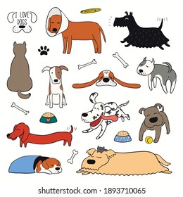 Perros divertidos y divertidos, colección de cachorros en clipart. Ilustración vectorial de color dibujada a mano, aislada en blanco. Imagen de línea. Logo de mascotas, conjunto de iconos. Concepto de diseño para afiches, camisetas, estampado de moda.