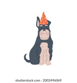 Cute funny dog cartoon character in birthday hat, flat vector illustration isolated on white background. Dog or puppy of terrier breed in birthday festive hat.
