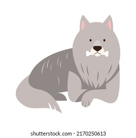 Cute Funny Dog. Pet Animal. Vector illustration