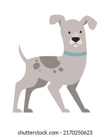 Cute Funny Dog. Pet Animal. Vector illustration