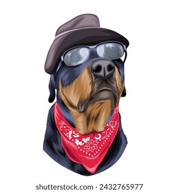 Perro lindo y divertido