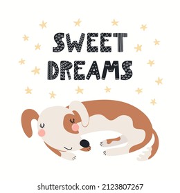 Cute funny dog, puppy, lettering quote Sweet dreams, isolated on white. Hand drawn vector illustration. Scandinavian style flat design. Concept kids fashion, textile print, poster, card, baby shower.