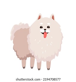 Cute funny dog spitz vector illustration. Cartoon isolated funny portrait of happy fluffy puppy character with adorable smile, paws and kawaii fur, little shaggy pretty spitz pet, doggie friend