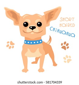 Cute funny dog tan shorthaired deer head Chihuahua breed vector.