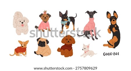 Cute funny dogs big sticker collection with corgi, dachshund, pug, poodle, chihuahua, yorkshire terrier and italian greyhound. Cartoon puppy characters vector set isolated