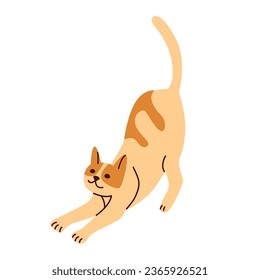 Cute funny domestic animal or pet. Adorable stretching kitty or pussycat.