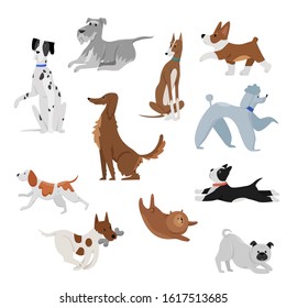 Cute funny domestic cartoon dogs pet vector illustration. Dog puppy pet characters. Furry human friends home happy animals set.