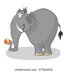 Cute funny elephant