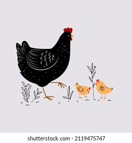 Cute and funny farm rooster, chicken,cock,cockerel,cartoon hand drawn vector illustration.