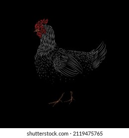 Cute and funny farm rooster, chicken,cock,cockerel,cartoon hand drawn vector illustration.