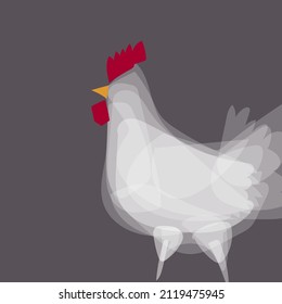 Cute and funny farm rooster, chicken,cock,cockerel,cartoon hand drawn vector illustration.