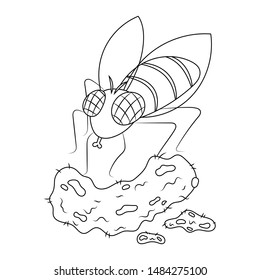 Cute and funny fly insect vector illustration cartoon. Fly cartoon colorless. Blow fly and feces.