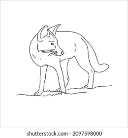 cute funny fox image vector line atr and fox outline drawing,illustration