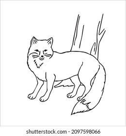 cute funny fox image vector line atr and fox outline drawing,illustration