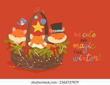 Cute Funny Foxes sitting on Christmas Basket