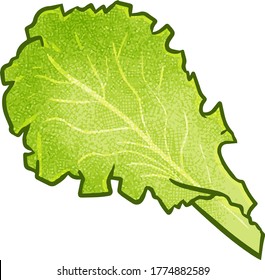 Lechuga fresca, ligera y divertida para la cocina