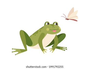 Cute funny frog hunting butterfly. Hungry toad watching for flying insect. Happy little froglet sitting and looking at dragonfly. Colored flat vector illustration isolated on white background