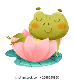 Cute funny frog sleeping in pink lotus flower. Green adorable toad cartoon character vector illustration