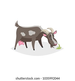 Cute funny goat. Cartoon flat style trendy design farm domestic animal. Spotty black goat stand and looking to green grass. Vector illustration isolated on white background.