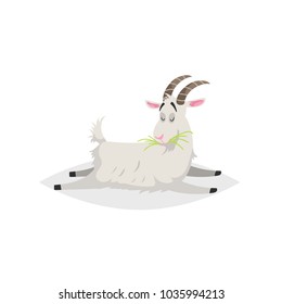 Cute funny goat. Cartoon flat style trendy design farm domestic animal. Lies and chews fresh grass. Vector illustration isolated on white background.